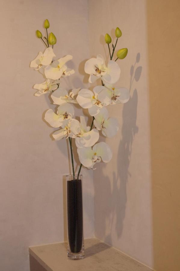 Le Clos Des Oiseaux Saintes Ngoại thất bức ảnh