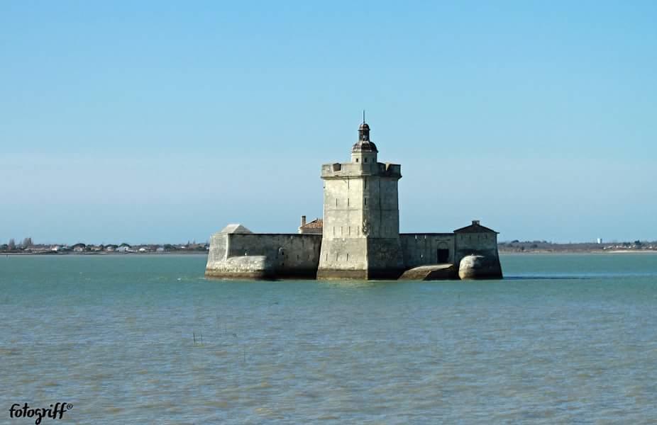 Le Clos Des Oiseaux Saintes Ngoại thất bức ảnh