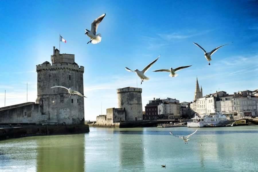 Le Clos Des Oiseaux Saintes Ngoại thất bức ảnh